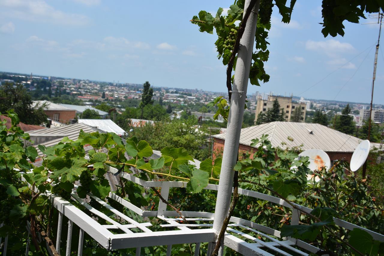 Friends House Hotel Koetaisi Buitenkant foto