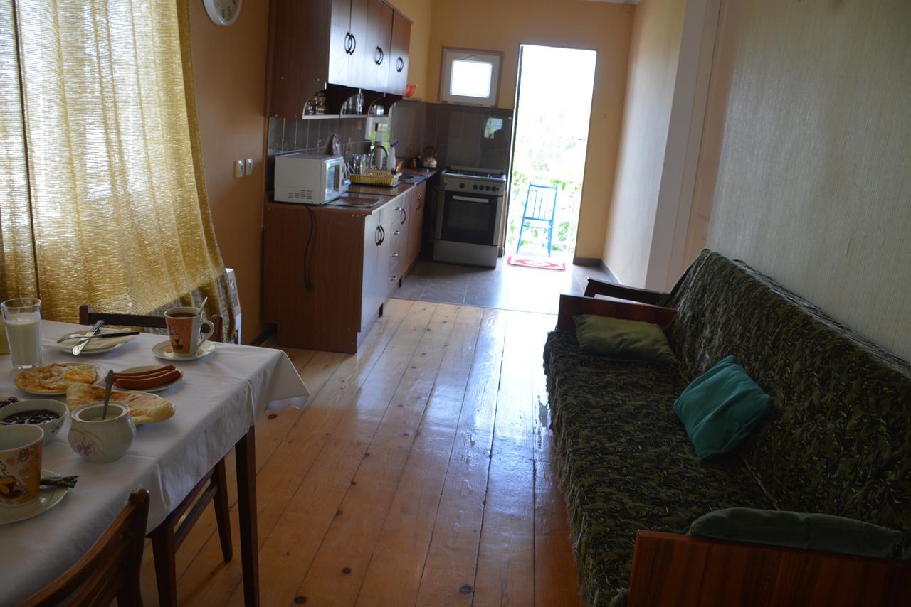 Friends House Hotel Koetaisi Buitenkant foto